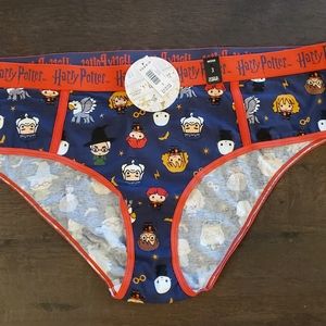 Torrid Panties Bundle Size 3